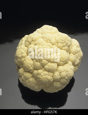 Bianco, Cavolfiori Brassica oleracea su sfondo nero Foto Stock