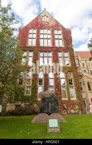 Vigneti in autunno su Beyer palazzo della vecchia del quadrangolo, l'Università di Manchester, Regno Unito Foto Stock