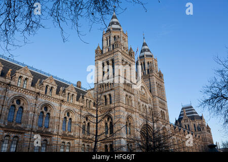 Museo di Storia Naturale di Cromwell Road, South Kensington, Londra Foto Stock
