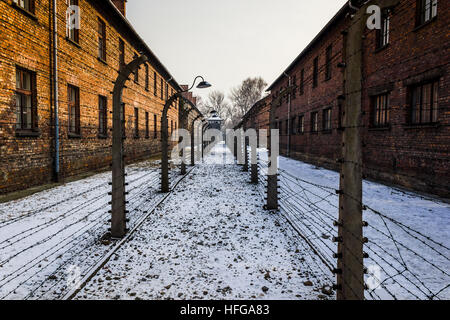 Tutto il filo spinato recinzioni perimetrali che circondano Auschwitz ho dove elettrificata. Foto Stock