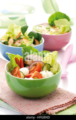 Insalata in una terrina: lattuga romana, cetrioli, peperoni, funghi prataioli e mozzarella, varie insalate miste in background Foto Stock