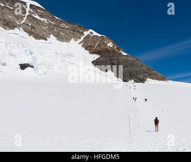 Picco coperto di neve del Jungfraujoch svizzera in estate con il profondo blu del cielo Foto Stock