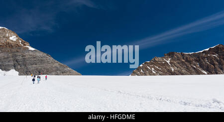 Picco coperto di neve del Jungfraujoch svizzera in estate con il profondo blu del cielo Foto Stock