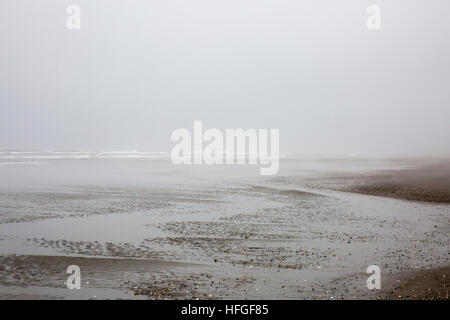 Lontano, giovane passeggiate nella nebbia Bonge sulla spiaggia, vicino a Westport, Washington. Foto Stock