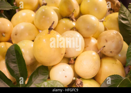 Sfondo di freschi frutti della passione , stock photo Foto Stock