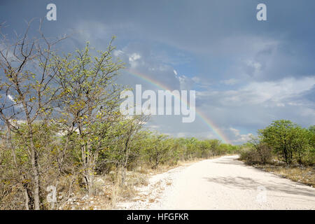 Rainbow su strada Foto Stock