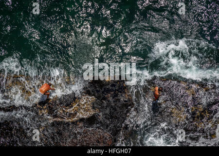 La raccolta di molluschi sulla costa rocciosa del Golfo di Napoli, Campania, Italia meridionale. Foto Stock