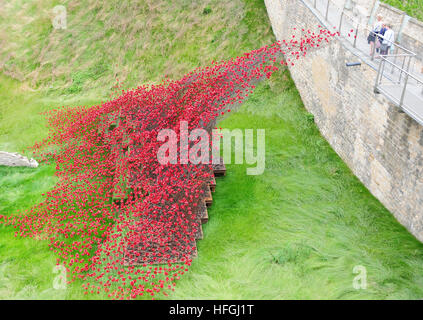 Il Papavero Installazione di Wave dalle mura del castello, Lincoln. Artista Paul Cummins. Designer Tom Piper. Foto Stock