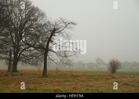 Londra, Regno Unito. 30 Dic, 2016. Alberi da un campo di calcio sulla Wanstead Park visto attraverso la nebbia di mattina su dicembre 30, 2016. Temperature di congelamento hanno creato un freddo, nebbia e gelido inizio per molto di Inghilterra e Galles per un terzo giorno. Giallo avvisi di maltempo sono stati emessi dalla MET OFFICE. Foto Stock