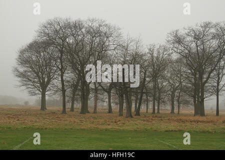 Londra, Regno Unito. 30 Dic, 2016. Alberi da un campo di calcio sulla Wanstead Park visto attraverso la nebbia di mattina su dicembre 30, 2016. Temperature di congelamento hanno creato un freddo, nebbia e gelido inizio per molto di Inghilterra e Galles per un terzo giorno. Giallo avvisi di maltempo sono stati emessi dalla MET OFFICE. Foto Stock