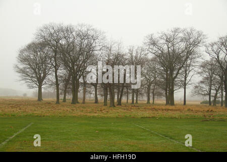 Londra, Regno Unito. 30 Dic, 2016. Alberi da un campo di calcio sulla Wanstead Park visto attraverso la nebbia di mattina su dicembre 30, 2016. Temperature di congelamento hanno creato un freddo, nebbia e gelido inizio per molto di Inghilterra e Galles per un terzo giorno. Giallo avvisi di maltempo sono stati emessi dalla MET OFFICE. Foto Stock