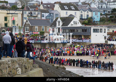 West Wales, Regno Unito. Il 1 di gennaio 2017. Migliaia di persone partecipano al Saundersfoot annuale il giorno di Capodanno nuotare in West Wales, Regno Unito, nelle acque di congelamento di questa mattina. Ora nella sua trentatreesima anno la nuotata iniziato alle 12:30pm. ©Andrew Bartlett/Alamy Live News Foto Stock