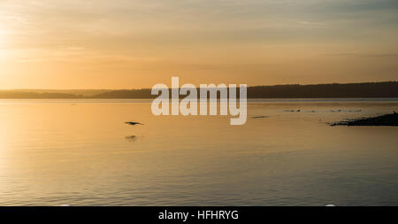 Giallo luce luminosa avvolge tutto come il sole tramonta al di sopra del Puget Sound. Foto Stock