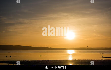 Giallo luce luminosa avvolge tutto come il sole tramonta al di sopra del Puget Sound. Foto Stock