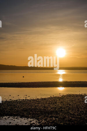 Giallo luce luminosa avvolge tutto come il sole tramonta al di sopra del Puget Sound. Foto Stock