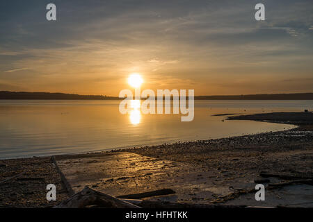 Golden luminosa avvolge tutto come il sole tramonta al di sopra del Puget Sound. Foto Stock