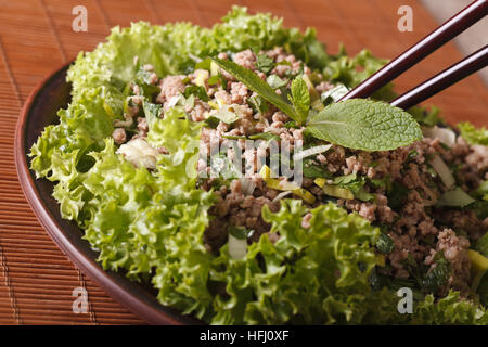 Laab Insalata Thai di carni macinate con erbe di close-up su una piastra orizzontale. Foto Stock