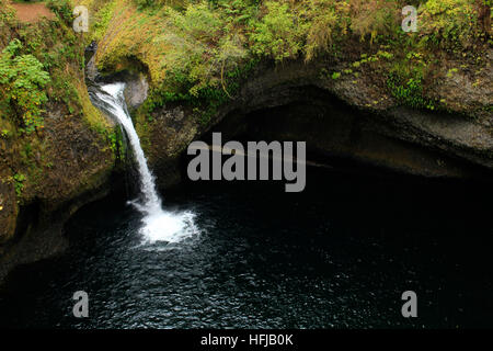 Conca cade su Eagle Creek Trail, Oregon, Stati Uniti d'America Foto Stock