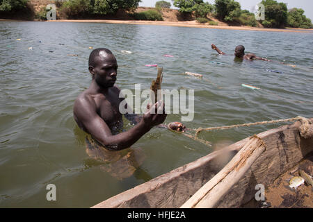 Bávaro village, Guinea, 1 Maggio 2015: i pescatori pescare nel loro net. Questo tempo è normalmente buono per la pesca perché il livello del fiume è basso. Foto Stock