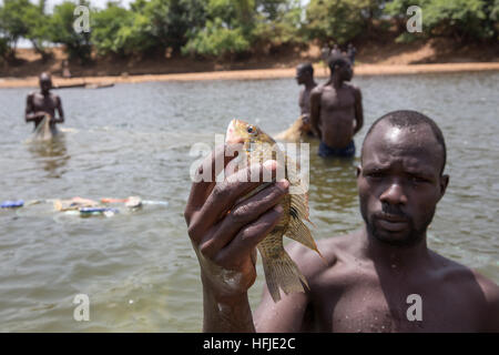 Bávaro village, Guinea, 1 Maggio 2015: i pescatori pescare nel loro net. Questo tempo è normalmente buono per la pesca perché il livello del fiume è basso. Foto Stock