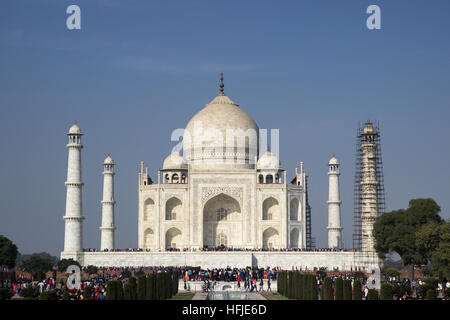 Patrimonio UNESCO monumento Taj Mahal ad Agra . È in fase di ristrutturazione con le riparazioni per il minareto Foto Stock