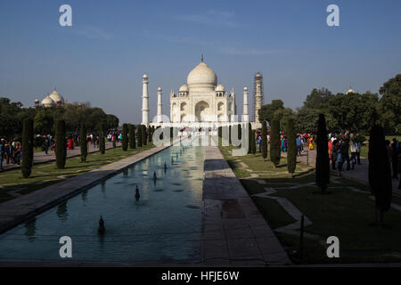 Patrimonio UNESCO monumento Taj Mahal ad Agra . È in fase di ristrutturazione con le riparazioni per il minareto Foto Stock