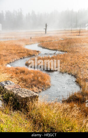 Tangled Creek e il Parco nazionale di Yellowstone Foto Stock