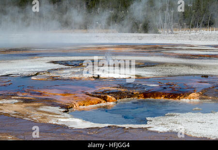 Blacksands Basin Parco nazionale di Yellowstone Foto Stock