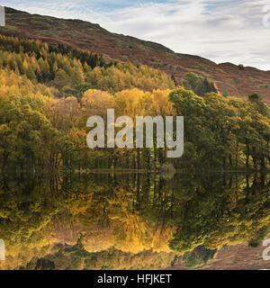 Bellissima Autumn Fall immagine orizzontale di una vasta campagna nel Lake District in Inghilterra Foto Stock