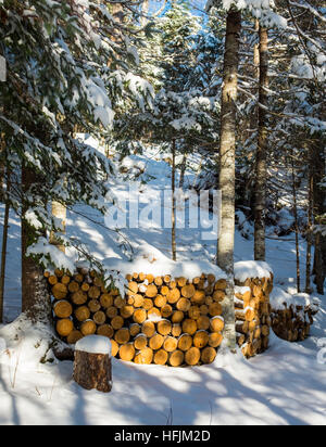 mucchio di legno Foto Stock