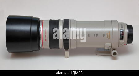 Canon EF 100-400mm Potente teleobiettivo con zoom esteso con cappa - per full frame fotocamere DSLR - da circa 1998 Foto Stock