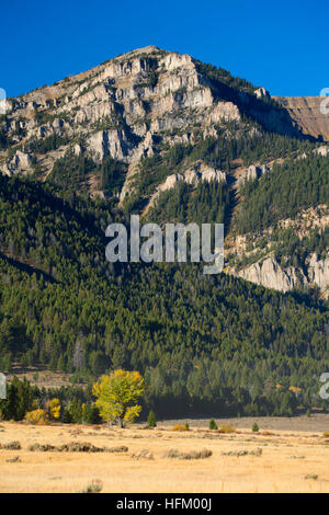 Taylor Montagna in Centennial Mountains, Red Rock Lakes National Wildlife Refuge, Montana Foto Stock