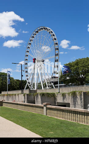 La Ruota Panoramica di Brisbane è un quasi 60 metri di altezza ruota panoramica Ferris installato a Brisbane, Australia. Foto Stock