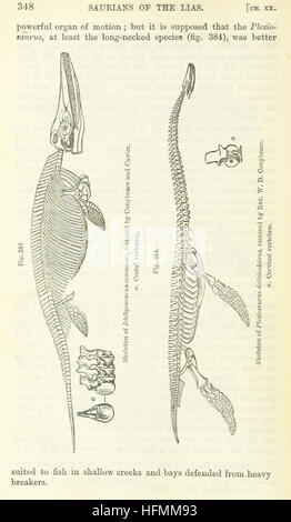 [Lo studente la elementi di geologia ... Con ... illustrazioni.] immagine presa da pagina 374 del '[dello studente di elementi Foto Stock