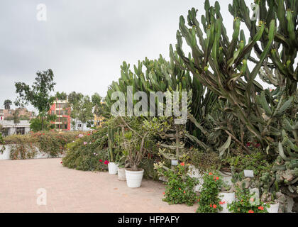 Museo Larco a Lima in Perù Foto Stock