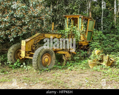 Abbandonato livellatrice giallo ricoperta dalla giungla vegetazione vicino al confine tra Nigeria e Camerun, Africa Foto Stock