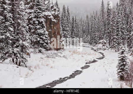 Una leggera nevicata fresca sulla natura selvaggia incontaminata del Valles Caldera National Preserve vicino a Los Alamos, Nuovo Messico. Foto Stock