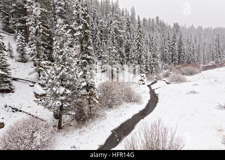 Una leggera nevicata fresca sulla natura selvaggia incontaminata del Valles Caldera National Preserve vicino a Los Alamos, Nuovo Messico. Foto Stock