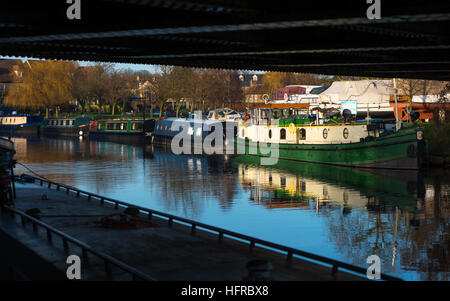 Chiatte sul grande fiume Ouse a Ely, Cambridgeshire, Regno Unito. Foto Stock