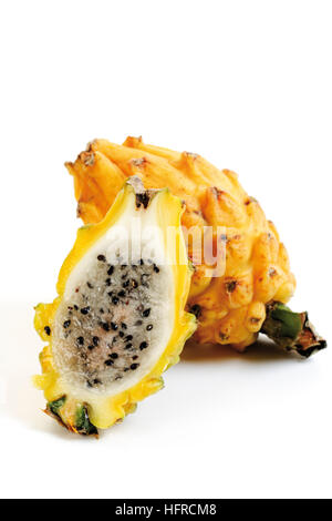 Giallo (pitaya Hylocereus) Foto Stock