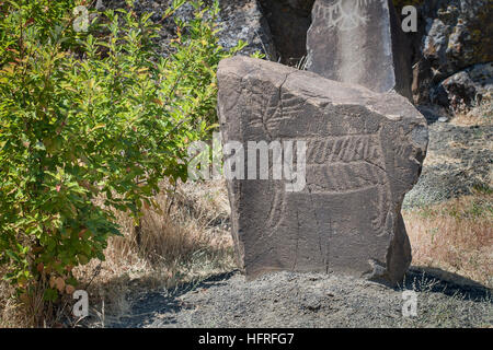 Nativi Americani di petroglyph un addio al celibato. Horsethief Lago, nello Stato di Washington, USA. Foto Stock