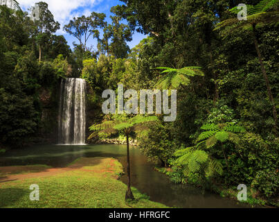 Millaa Millaa Falls. Queensland, Australia Foto Stock