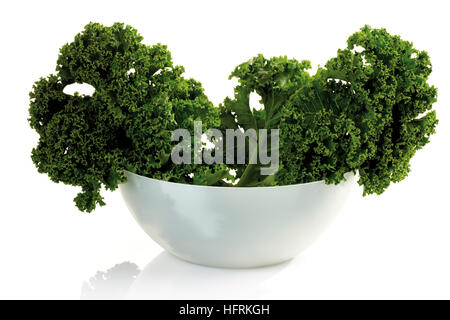 Cavolo o Borecole (Brassica oleracea convar. acephala var. sabellica) Foto Stock