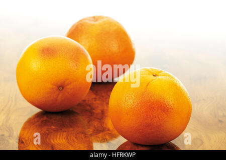 Rosso rubino di pompelmo (agrumi) Foto Stock