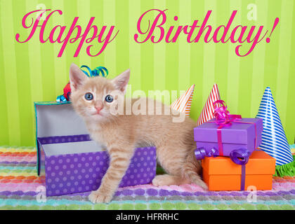 Due mesi di zenzero arancione tabby gattino che spuntavano di regalo di compleanno in una pila di luminose di caselle colorate con party cappelli, verde brillante spogliato ba Foto Stock