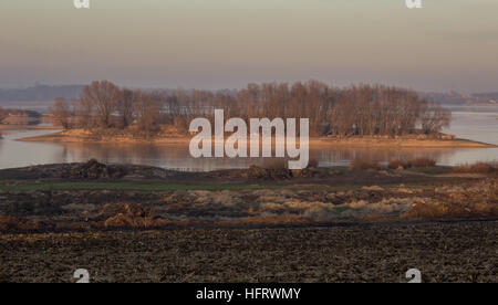 Isoletta coperta da alberi Mietkowski Laguna di fiume Bystrzyca Foto Stock