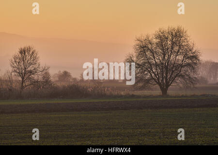 Tramonto in inverno ai piedi delle montagne del gufo Bassa Slesia Polonia Eulengebirge Foto Stock