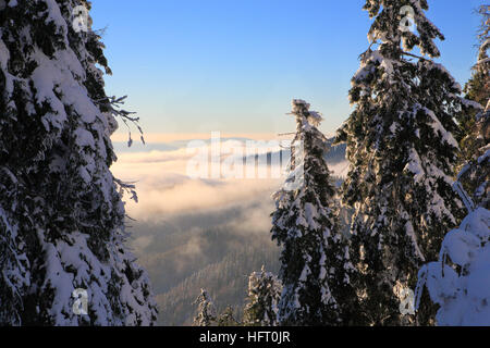 Nebbia sulla vallata, illuminato dal sole al tramonto. Foto Stock