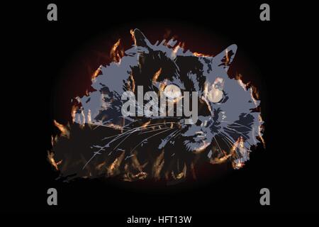 CAT illustrazione il fuoco con grandi occhi gialli. Colore nero su uno sfondo scuro. Per utilizzare Progettazione, decorazione, stampa smart phone, sito web, ecc. Illustrazione Vettoriale