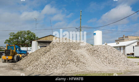 Florida, Apalachicola, gusci di ostriche in attesa di riciclaggio Foto Stock